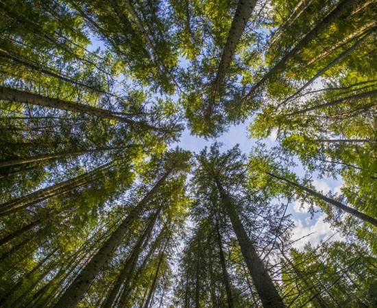 Ley de cambio climatico y transicion energetica 