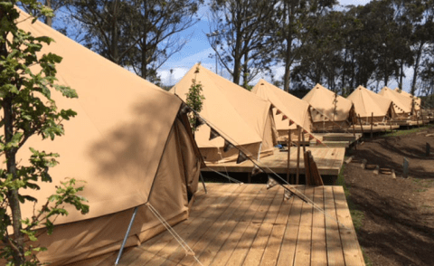 WeCamp