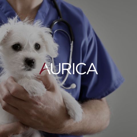Clínica veterinaria Canitas