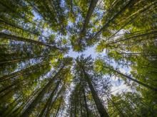 Ley de cambio climatico y transicion energetica 